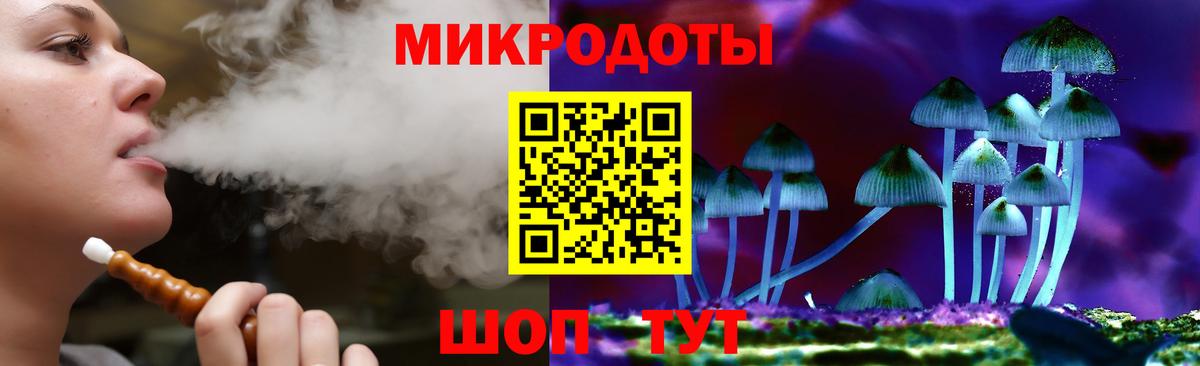 Псилоцибиновые грибы Psilocybe  Вход с VPN  Дербент 